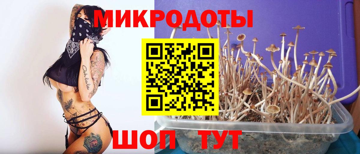 Галлюциногенные грибы Cubensis  Вход с VPN  Балахна 